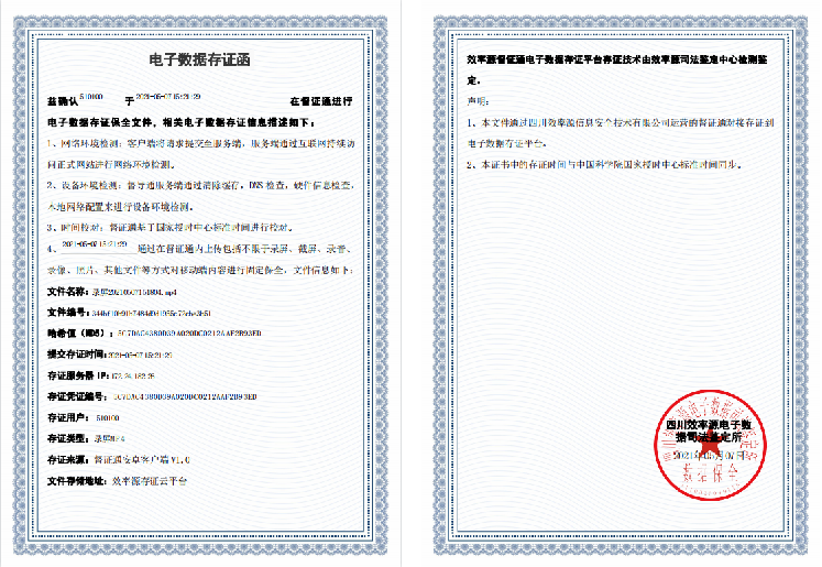 电子数据取证,电子数据取证厂商,手机取证,数据恢复,视频取证,数据库取证